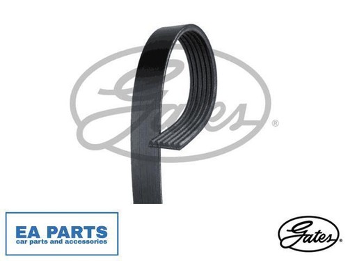Ribbed belt for - belt, vw