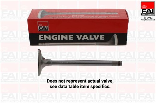Engine exhaust valve - engine, head