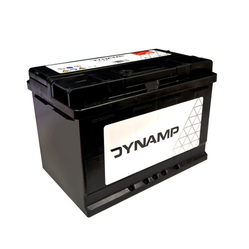 Dynamp df721 smf - dynamp,